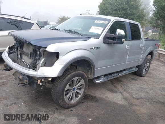✅ 2010 Ford F-150 XL • VIN: 1FTFW1EVXAFC03897 • Lot: 43213952. Wystawiony na IAAI z przebiegiem 195 910 mil. Bezpłatny archiwum sprzedaży aukcyjnych z USA i szczegółowy raport historii pojazdu na DreamBid. Zdjęcie 19.