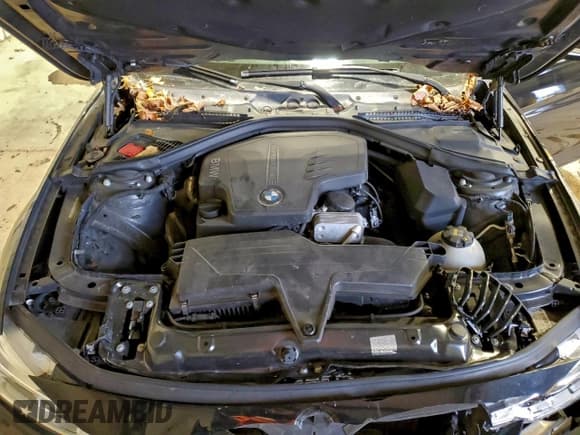 ✅ 2016 BMW 3 Series 328i • VIN: WBA8E9G51GNT84102 • Lot: 96172835. Wystawiony na Copart z przebiegiem 122 615 mil. Bezpłatny archiwum sprzedaży aukcyjnych z USA i szczegółowy raport historii pojazdu na DreamBid. Zdjęcie 11.