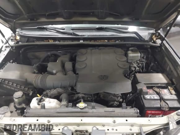 ✅ 2010 Toyota 4Runner SR5 • VIN: JTEBU5JR9A5007519 • Лот: 43569375. Опубликован ранее на IAAI с пробегом 256 222 миль. Бесплатный доступ к архиву аукционных продаж из США и подробный отчёт об истории автомобиля на DreamBid. Изображение 10.