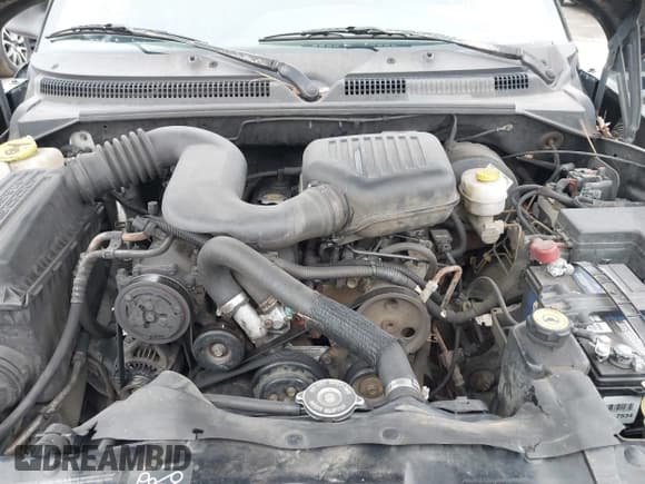 ✅ 1999 Dodge Dakota • VIN: 1B7FL22P8XS232450 • Lot: 41754680. Wystawiony na IAAI z przebiegiem 122 594 mil. Bezpłatny archiwum sprzedaży aukcyjnych z USA i szczegółowy raport historii pojazdu na DreamBid. Zdjęcie 10.