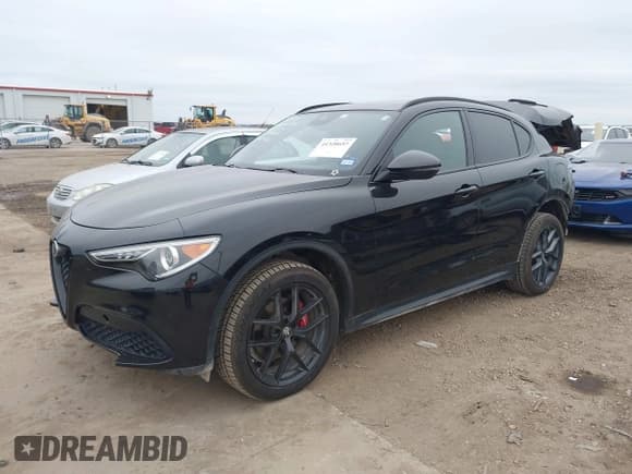 ✅ 2019 Alfa Romeo Stelvio Ti • VIN: ZASPAKBNXK7C44188 • Lot: 41320657. Wystawiony na IAAI z przebiegiem 89 927 mil. Bezpłatny archiwum sprzedaży aukcyjnych z USA i szczegółowy raport historii pojazdu na DreamBid. Zdjęcie 2.