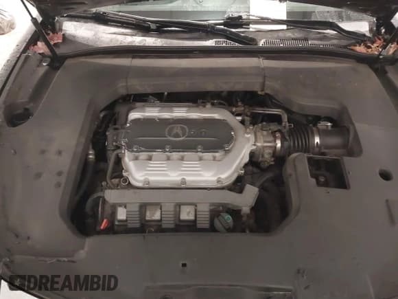 ✅ 2009 Acura TL • VIN: 19UUA862X9A016138 • Lot: 41447447. Listed on IAAI with 153,368 mi. Free auction sales archive from the USA and detailed vehicle history report at DreamBid. Image 10.