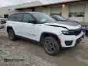 2022 Jeep Grand Cherokee Trailhawk with VIN 1C4RJYC64N8717562, listed as a Copart auction lot 41504365 with Not provided miles and Salvage title. Bid and sale history available at DreamBid. Image 4.