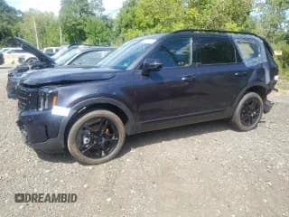 ✅ 2025 Kia Telluride SX X-Line • VIN: 5XYP5DGC6SG647796 • Lot: 69659215. Wystawiony na Copart z przebiegiem 1 056 mil. Bezpłatny archiwum sprzedaży aukcyjnych z USA i szczegółowy raport historii pojazdu na DreamBid. Zdjęcie 1.