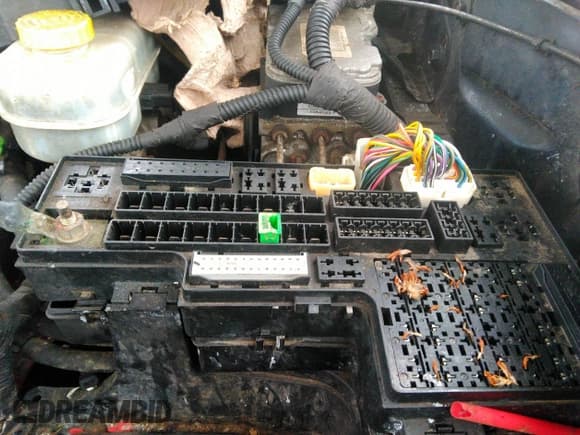 ✅ 2002 Dodge Dakota SLT • VIN: 1B7HG48N82S725133 • Лот: 41025253. Опубликован ранее на IAAI с пробегом Не указан. Бесплатный доступ к архиву аукционных продаж из США и подробный отчёт об истории автомобиля на DreamBid. Изображение 13.