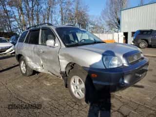 2003 Hyundai Santa Fe GLS с VIN KM8SC73D93U534436, выставлен на аукционе Copart как лот 44957605 с пробегом 123 519 миль миль и Списание • Salvage title. История ставок и продаж доступна на DreamBid. Изображение 4.