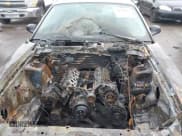 ✅ 2004 Ford Mustang Standard • VIN: 1FAFP40464F125870 • Lot: 43501805. Listed on IAAI with Not provided. Free auction sales archive from the USA and detailed vehicle history report at DreamBid. Image 10.