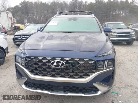 ✅ 2023 Hyundai Santa Fe Calligraphy • VIN: 5NMS5DAL9PH482732 • Lot: 41397114. Wystawiony na IAAI z przebiegiem 13 495 mil. Bezpłatny archiwum sprzedaży aukcyjnych z USA i szczegółowy raport historii pojazdu na DreamBid. Zdjęcie 12.