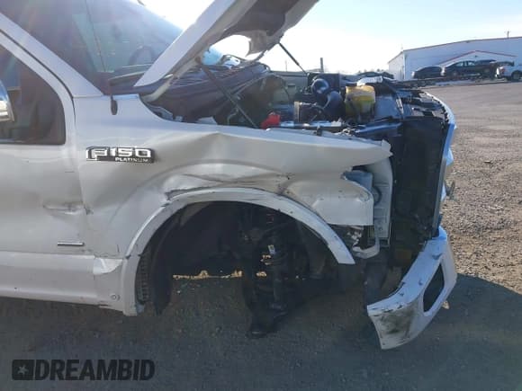 ✅ 2015 Ford F-150 XLT • VIN: 1FTEW1EGXFFB45374 • Lot: 43528025. Listed on IAAI with 134,563 mi. Free auction sales archive from the USA and detailed vehicle history report at DreamBid. Image 19.