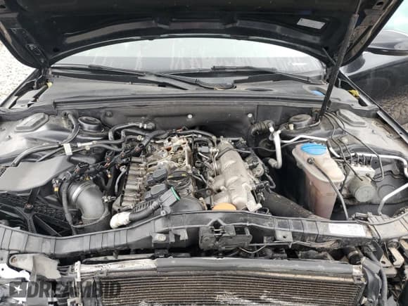 ✅ 2014 Audi A4 Premium Plus • VIN: WAUFFAFL8EN016714 • Лот: 82759985. Опубликован ранее на Copart с пробегом Не указан. Бесплатный доступ к архиву аукционных продаж из США и подробный отчёт об истории автомобиля на DreamBid. Изображение 11.