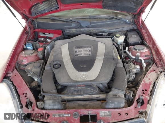 ✅ 2008 Mercedes-Benz SLK 350 • VIN: WDBWK56F58F176045 • Lot: 42271253. Listed on IAAI with 111,908 mi. Free auction sales archive from the USA and detailed vehicle history report at DreamBid. Image 10.