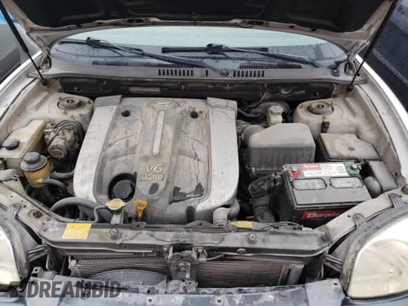 ✅ 2004 Hyundai Santa Fe GLS • VIN: KM8SC13E14U686413 • Lot: 84267135. Listed on Copart with Not provided. Free auction sales archive from the USA and detailed vehicle history report at DreamBid. Image 12.