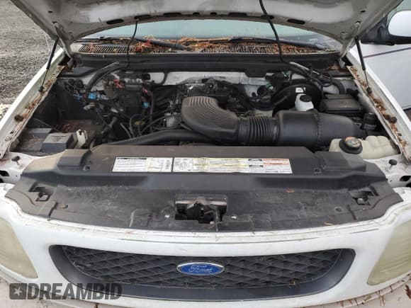 ✅ 1997 Ford F-150 • VIN: 1FTDX08W8VKD64331 • Lot: 91916645. Listed on Copart with 223,588 mi. Free auction sales archive from the USA and detailed vehicle history report at DreamBid. Image 11.