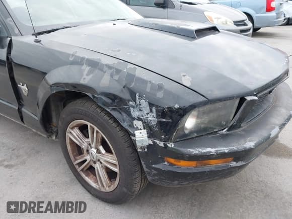 ✅ 2009 Ford Mustang • VIN: 1ZVHT84N995137661 • Lot: 41380685. Listed on IAAI with 185,620 mi. Free auction sales archive from the USA and detailed vehicle history report at DreamBid. Image 6.