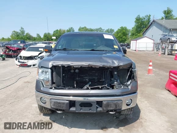 ✅ 2010 Ford F-150 XL • VIN: 1FTFW1E86AFC82950 • Lot: 42365747. Wystawiony na IAAI z przebiegiem 140 833 mil. Bezpłatny archiwum sprzedaży aukcyjnych z USA i szczegółowy raport historii pojazdu na DreamBid. Zdjęcie 12.