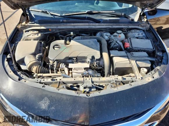 ✅ 2019 Chevrolet Malibu LS • VIN: 1G1ZB5ST4KF126490 • Lot: 67961035. Wystawiony na Copart z przebiegiem 116 455 mil. Bezpłatny archiwum sprzedaży aukcyjnych z USA i szczegółowy raport historii pojazdu na DreamBid. Zdjęcie 11.