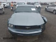 ✅ 2005 Ford Mustang Deluxe • VIN: 1ZVFT80N055108069 • Лот: 43258701. Опубликован ранее на IAAI с пробегом 253 074 миль. Бесплатный доступ к архиву аукционных продаж из США и подробный отчёт об истории автомобиля на DreamBid. Изображение 13.