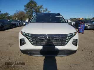 2023 Hyundai Tucson Limited с VIN 5NMJECAE6PH237085, выставлен на аукционе Copart как лот 86834615 с пробегом 88 129 миль миль и На запчасти • Non repairable. История ставок и продаж доступна на DreamBid. Изображение 5.