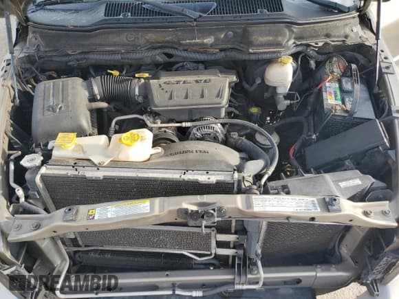 ✅ 2008 Dodge 1500 SLT • VIN: 1D7HA18N28J117631 • Лот: 73342754. Опубликован ранее на Copart с пробегом Не указан. Бесплатный доступ к архиву аукционных продаж из США и подробный отчёт об истории автомобиля на DreamBid. Изображение 11.