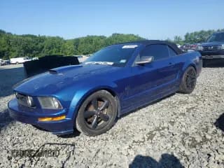 ✅ 2008 Ford Mustang GT Deluxe • VIN: 1ZVHT85H885180945 • Lot: 65708305. Listed on Copart with Not provided. Free auction sales archive from the USA and detailed vehicle history report at DreamBid. Image 1.