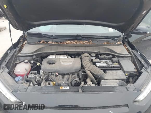 ✅ 2021 Hyundai Kona Night Edition • VIN: KM8K63A5XMU691471 • Лот: 41589254. Опубликован ранее на IAAI с пробегом 56 083 миль. Бесплатный доступ к архиву аукционных продаж из США и подробный отчёт об истории автомобиля на DreamBid. Изображение 10.