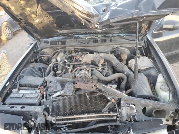 ✅ 2009 Ford Police Interceptor • VIN: 2FAHP71V69X111691 • Lot: 91094795. Listed on Copart with 115,568 mi. Free auction sales archive from the USA and detailed vehicle history report at DreamBid. Image 11.