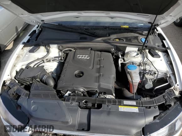 ✅ 2014 Audi A5 Premium Plus • VIN: WAUJFAFH5EN008365 • Лот: 75951154. Опубликован ранее на Copart с пробегом Не указан. Бесплатный доступ к архиву аукционных продаж из США и подробный отчёт об истории автомобиля на DreamBid. Изображение 11.