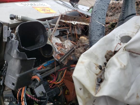 ✅ 2000 Chevrolet Silverado 1500 LS • VIN: 1GCEK14T8YZ348565 • Лот: 88109615. Опубликован ранее на Copart с пробегом Не указан. Бесплатный доступ к архиву аукционных продаж из США и подробный отчёт об истории автомобиля на DreamBid. Изображение 9.