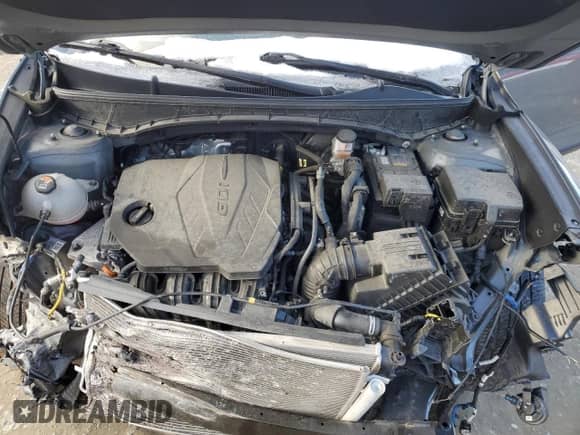 2022 Hyundai Santa Cruz SEL с VIN 5NTJCDAE0NH013307, выставлен на аукционе Copart как лот 42774685 с пробегом 25 839 миль миль и Списание • Salvage title. История ставок и продаж доступна на DreamBid. Изображение 11.