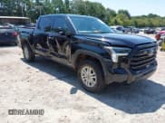 ✅ 2023 Toyota Tundra SR5 • VIN: 5TFLA5DB7PX059583 • Lot: 43073246. Wystawiony na IAAI z przebiegiem 54 372 mil. Bezpłatny archiwum sprzedaży aukcyjnych z USA i szczegółowy raport historii pojazdu na DreamBid. Zdjęcie 1.