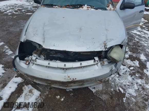 ✅ 2004 Chevrolet Cavalier • VIN: 1G1JC52FX47310284 • Lot: 43839104. Listed on IAAI with 196,533 mi. Free auction sales archive from the USA and detailed vehicle history report at DreamBid. Image 6.