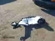 2024 Hyundai Tucson SEL with VIN 5NMJBCDE5RH364255, listed as a IAAI auction lot 43409904 with 38,715 mi miles and . Bid and sale history available at DreamBid. Image 12.