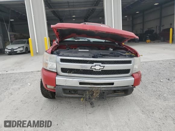 ✅ 2009 Chevrolet Silverado 1500 • VIN: 1GCEK24039Z125752 • Лот: 81302365. Опубликован ранее на Copart с пробегом 90 244 миль. Бесплатный доступ к архиву аукционных продаж из США и подробный отчёт об истории автомобиля на DreamBid. Изображение 5.