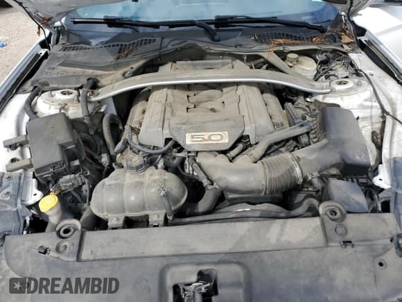 ✅ 2016 Ford Mustang GT Premium • VIN: 1FA6P8CF0G5301651 • Lot: 90352435. Listed on Copart with Not provided. Free auction sales archive from the USA and detailed vehicle history report at DreamBid. Image 11.