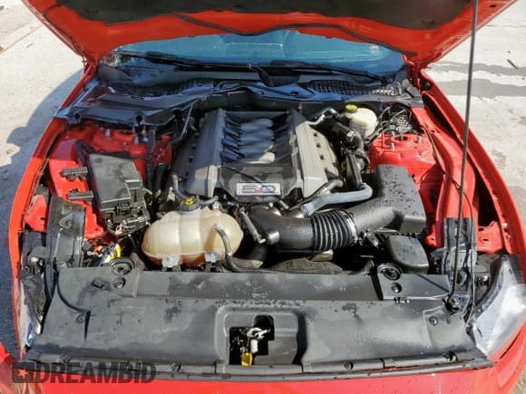 ✅ 2017 Ford Mustang GT • VIN: 1FA6P8CF4H5228866 • Lot: 80632465. Listed on Copart with 37,865 mi. Free auction sales archive from the USA and detailed vehicle history report at DreamBid. Image 11.