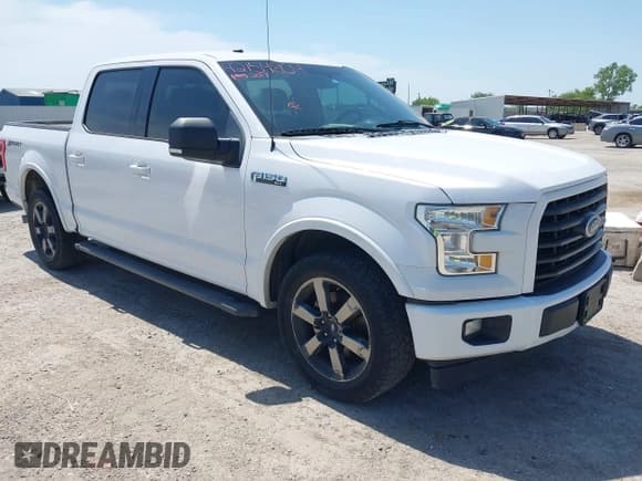 ✅ 2017 Ford F-150 XL • VIN: 1FTEW1CF2HKD16011 • Lot: 42154804. Wystawiony na IAAI z przebiegiem 167 205 mil. Bezpłatny archiwum sprzedaży aukcyjnych z USA i szczegółowy raport historii pojazdu na DreamBid. Zdjęcie 1.