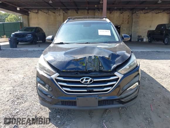 2017 Hyundai Tucson SE с VIN KM8J3CA44HU290757, выставлен на аукционе IAAI как лот 43267069 с пробегом 120 625 миль миль и . История ставок и продаж доступна на DreamBid. Изображение 12.
