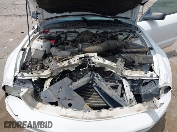 ✅ 2009 Ford Mustang • VIN: 1ZVHT84N595112837 • Lot: 42383859. Listed on IAAI with 146,605 mi. Free auction sales archive from the USA and detailed vehicle history report at DreamBid. Image 10.