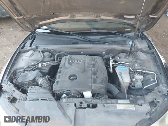 ✅ 2013 Audi A5 Premium • VIN: WAUCFAFR6DA038224 • Лот: 42507719. Опубликован ранее на IAAI с пробегом 124 649 миль. Бесплатный доступ к архиву аукционных продаж из США и подробный отчёт об истории автомобиля на DreamBid. Изображение 10.