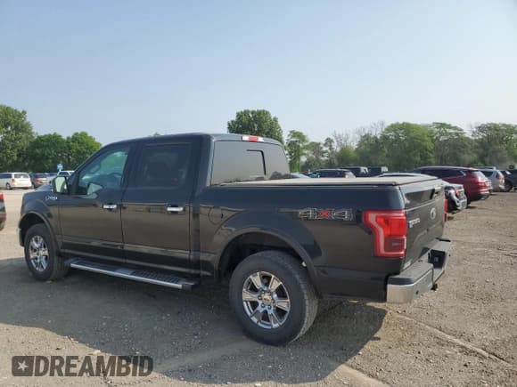 ✅ 2017 Ford F-150 XL • VIN: 1FTEW1EF4HFA58404 • Lot: 60305985. Wystawiony na Copart z przebiegiem 134 046 mil. Bezpłatny archiwum sprzedaży aukcyjnych z USA i szczegółowy raport historii pojazdu na DreamBid. Zdjęcie 2.