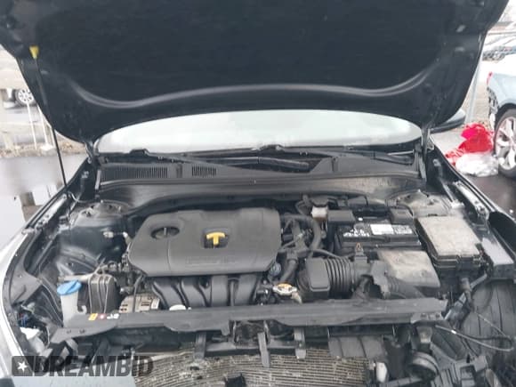 ✅ 2020 Kia Forte LXS • VIN: 3KPF24ADXLE238978 • Lot: 43718133. Wystawiony na IAAI z przebiegiem 114 369 mil. Bezpłatny archiwum sprzedaży aukcyjnych z USA i szczegółowy raport historii pojazdu na DreamBid. Zdjęcie 10.