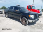 ✅ 2009 Ford F-150 XL • VIN: 1FTPW14V09FA50643 • Lot: 42724213. Listed on IAAI with 230,313 mi. Free auction sales archive from the USA and detailed vehicle history report at DreamBid. Image 1.