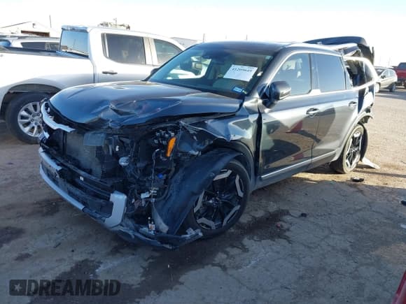 ✅ 2023 Kia Telluride EX X-Line • VIN: 5XYP3DGCXPG388422 • Lot: 41209649. Wystawiony na IAAI z przebiegiem 48 665 mil. Bezpłatny archiwum sprzedaży aukcyjnych z USA i szczegółowy raport historii pojazdu na DreamBid. Zdjęcie 2.