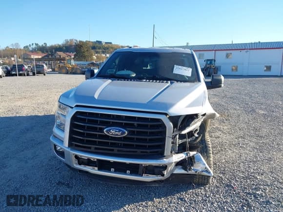 ✅ 2016 Ford F-150 XLT • VIN: 1FTEW1EP2GFB69332 • Lot: 43617812. Listed on IAAI with 98,425 mi. Free auction sales archive from the USA and detailed vehicle history report at DreamBid. Image 12.