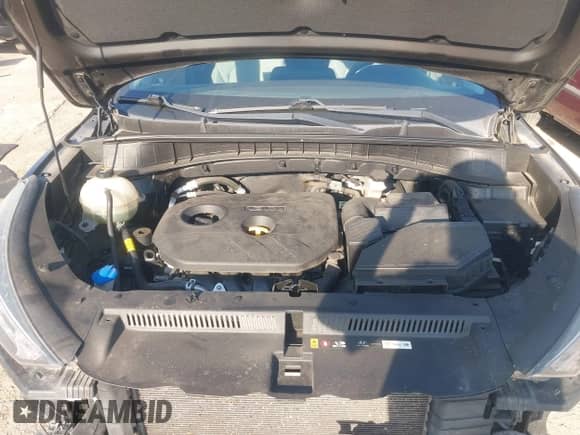 2019 Hyundai Tucson Value with VIN KM8J33A48KU925616, listed as a IAAI auction lot 43364206 with 71,119 mi miles and . Bid and sale history available at DreamBid. Image 10.