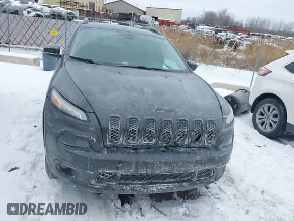 ✅ 2016 Jeep Cherokee Limited • VIN: 1C4PJMDB6GW331557 • Lot: 41601297. Wystawiony na IAAI z przebiegiem 175 562 mil. Bezpłatny archiwum sprzedaży aukcyjnych z USA i szczegółowy raport historii pojazdu na DreamBid. Zdjęcie 12.