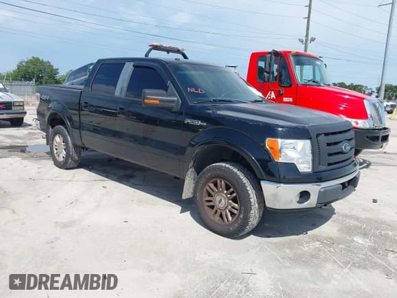 ✅ 2009 Ford F-150 XL • VIN: 1FTPW14V09FA50643 • Lot: 42724213. Listed on IAAI with 230,313 mi. Free auction sales archive from the USA and detailed vehicle history report at DreamBid. Image 1.