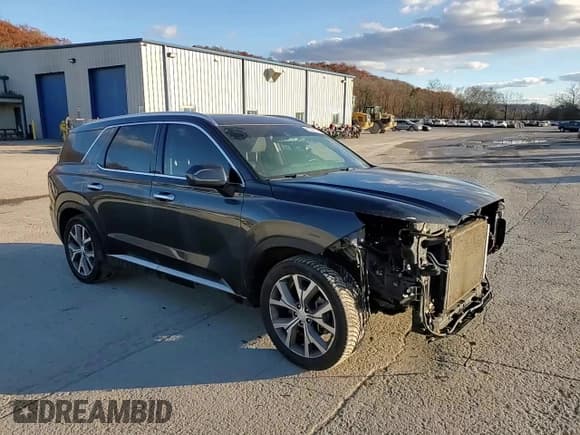 ✅ 2020 Hyundai Palisade SEL • VIN: KM8R3DHE2LU089116 • Лот: 92326165. Опубликован ранее на Copart с пробегом 77 485 миль. Бесплатный доступ к архиву аукционных продаж из США и подробный отчёт об истории автомобиля на DreamBid. Изображение 14.