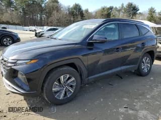 ✅ 2023 Hyundai Tucson Blue • VIN: KM8JBCA16PU119497 • Lot: 43737424. Wystawiony na Copart z przebiegiem 7 851 mil. Bezpłatny archiwum sprzedaży aukcyjnych z USA i szczegółowy raport historii pojazdu na DreamBid. Zdjęcie 1.