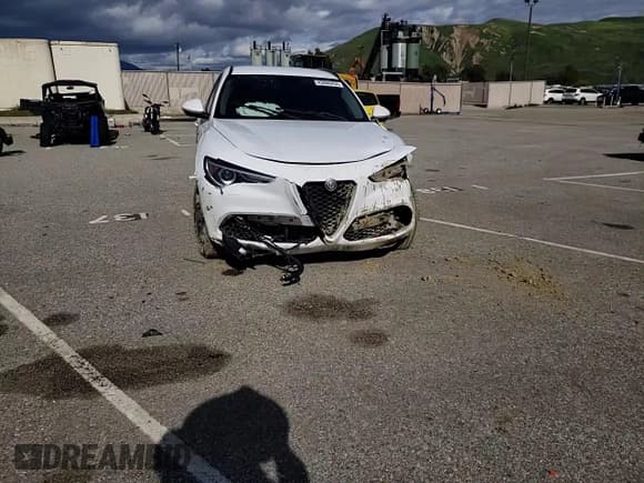 ✅ 2019 Alfa Romeo Stelvio Sport • VIN: ZASPAKAN9K7C31918 • Лот: 43608453. Опубликован ранее на Copart с пробегом Не указан. Бесплатный доступ к архиву аукционных продаж из США и подробный отчёт об истории автомобиля на DreamBid. Изображение 11.